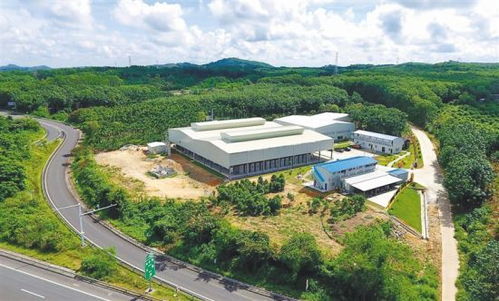 澄邁產(chǎn)業(yè)幫扶拔窮根 環(huán)?？萍间伨涂沙掷m(xù)發(fā)展之路